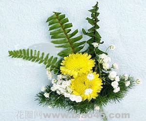 祭奠胸花 10束-小黄菊2朵，排草3片，满天星、蓬莱松少许,10束