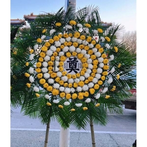 ����ǧ��-�ջ�����Ҷ��������ͼ���ƣ����ֱ��1�ף������ԼΪ1.6������<����Ȧ>