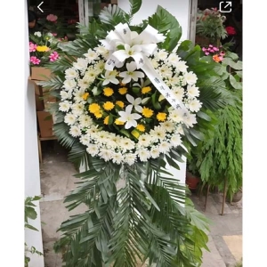 ����л�-�ջ������ʣ��ٺϣ���Ҷ��������ͼ���ƣ����ֱ��1�ף������ԼΪ1.6������<˫������Ȧ>