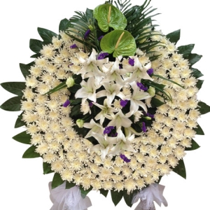 �н�˼��-�ջ����ٺϡ���Ҷ��������ͼ���ƣ����ֱ��1�ף������ԼΪ1.6������<����Ȧ>